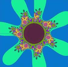 ��� ������ ��������� ������ ��������